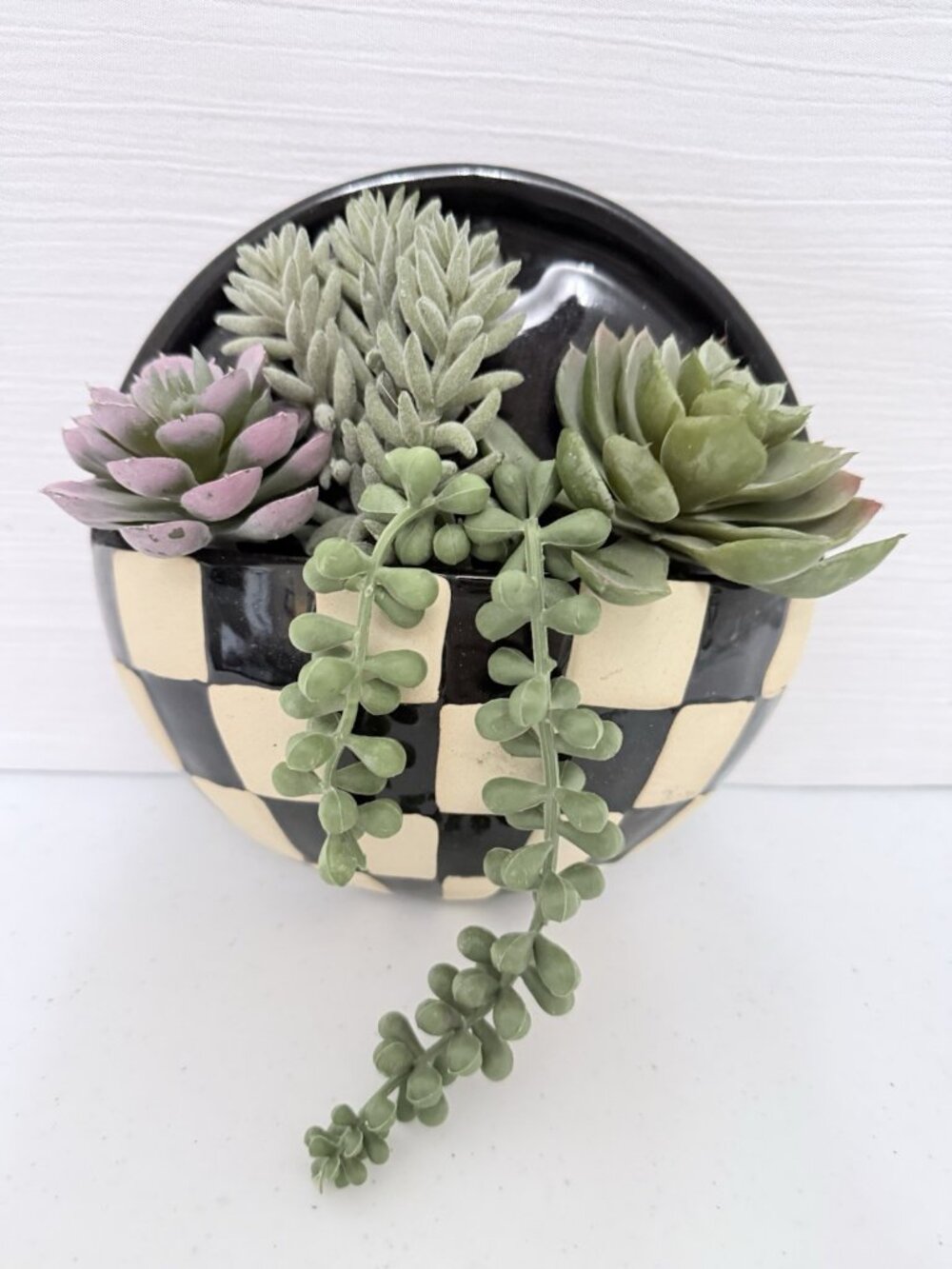 Hanging Wall Pocket Faux Succulent Plant Black & Cream Check 7" Diameter 2" Deep